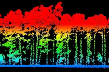 Relevé LiDAR par drone d'une forêt – Scan 3D avec classification des hauteurs